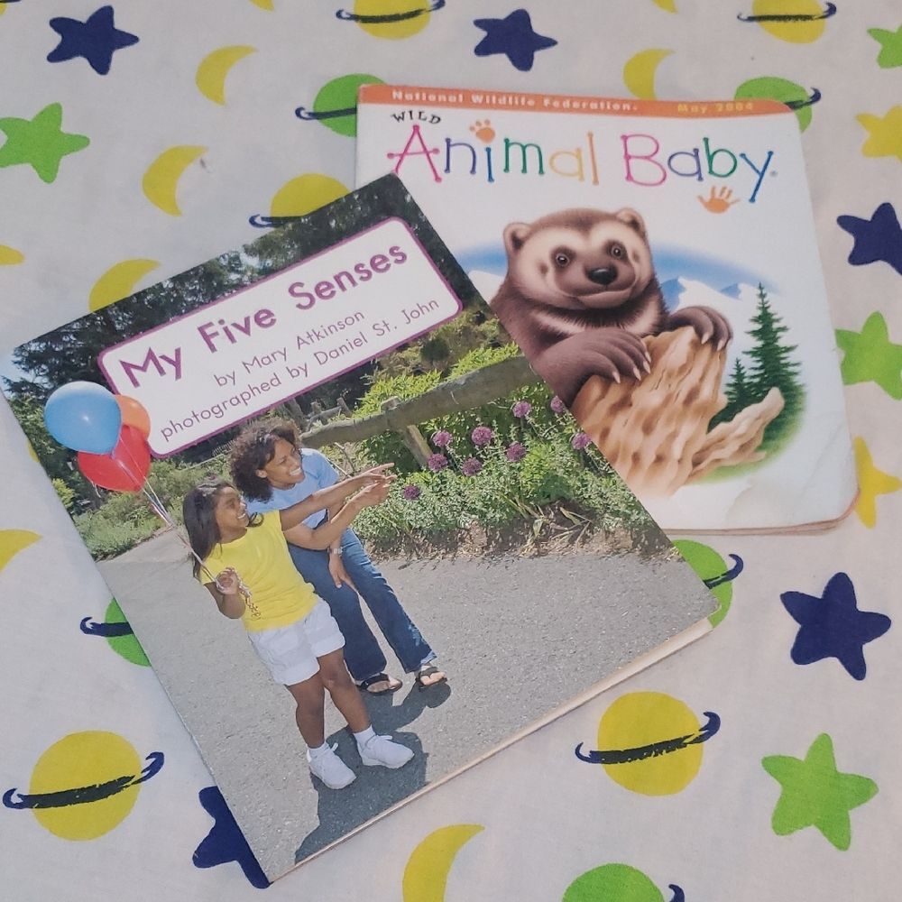 Baby Book Bundle Animal Baby and My Five Senses Children's Books